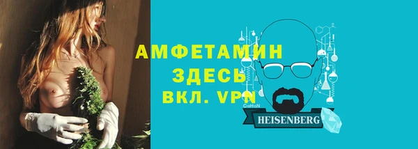 сатива Нязепетровск