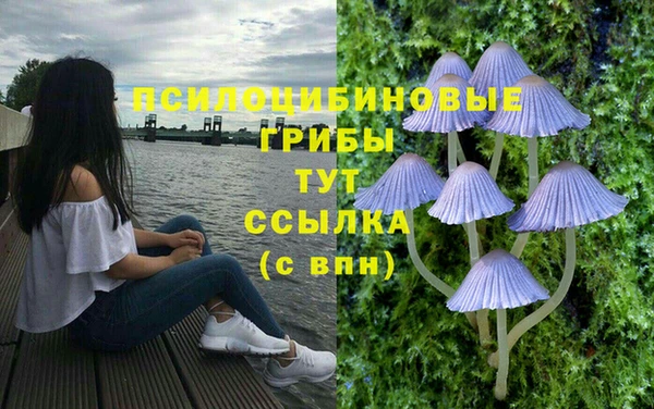 спиды Дмитриев