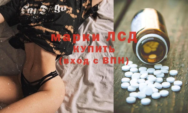 сатива Нязепетровск
