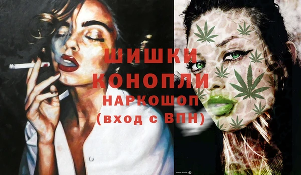 сатива Нязепетровск