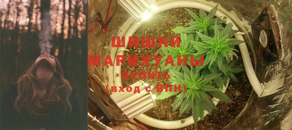 ГАЛЛЮЦИНОГЕННЫЕ ГРИБЫ Няндома