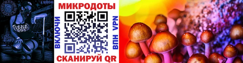 Галлюциногенные грибы MAGIC MUSHROOMS  Нелидово 